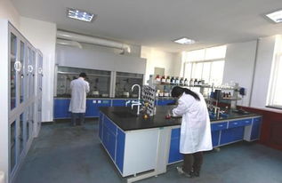 西安生漆涂料研究所新材料技術(shù)開(kāi)發(fā)服務(wù) 賦能產(chǎn)業(yè)創(chuàng)新與可持續(xù)發(fā)展