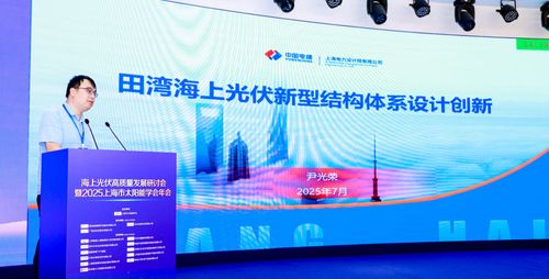 海上光伏高質(zhì)量發(fā)展研討會(huì)暨2025上海市太陽(yáng)能學(xué)會(huì)年會(huì)圓滿舉行